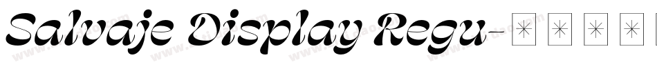 Salvaje Display Regu字体转换